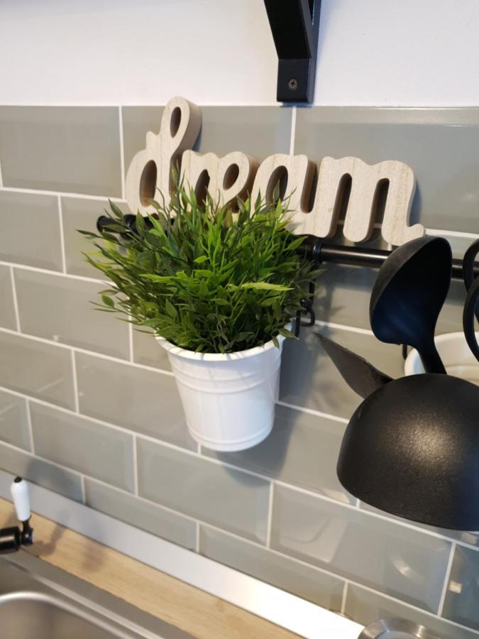 Dream Apartment Petroşani Dış mekan fotoğraf